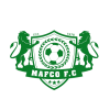 元素首发阵容