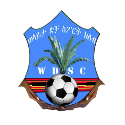 沃莱塔迪查首发阵容